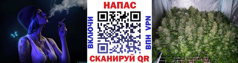 Шишки марихуана семена  мега ССЫЛКА  Иноземцево 
